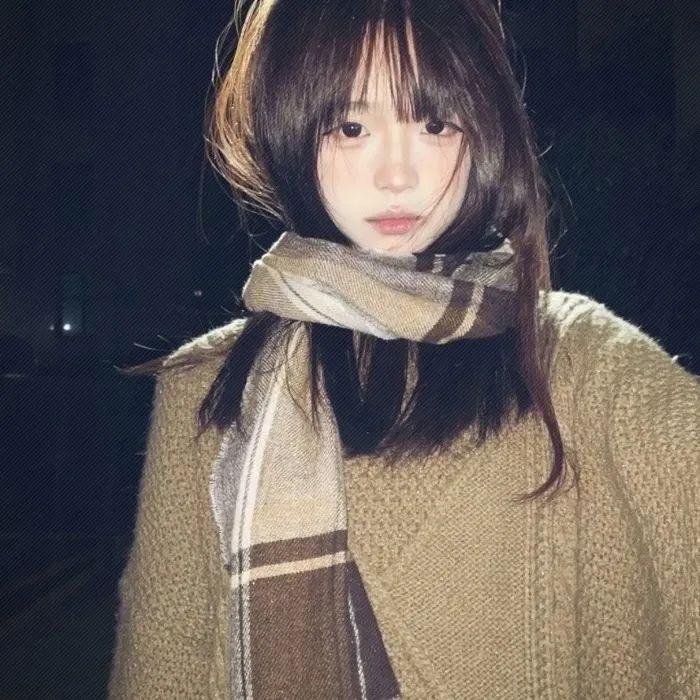 小熊历险记
